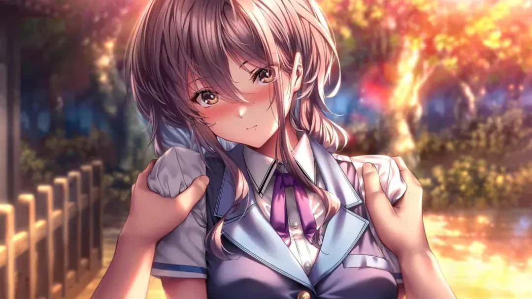 视觉数据3
